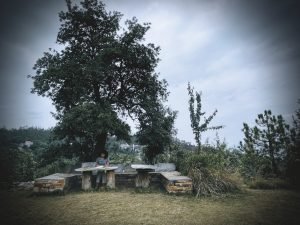 Writing spaces 11 satkhol