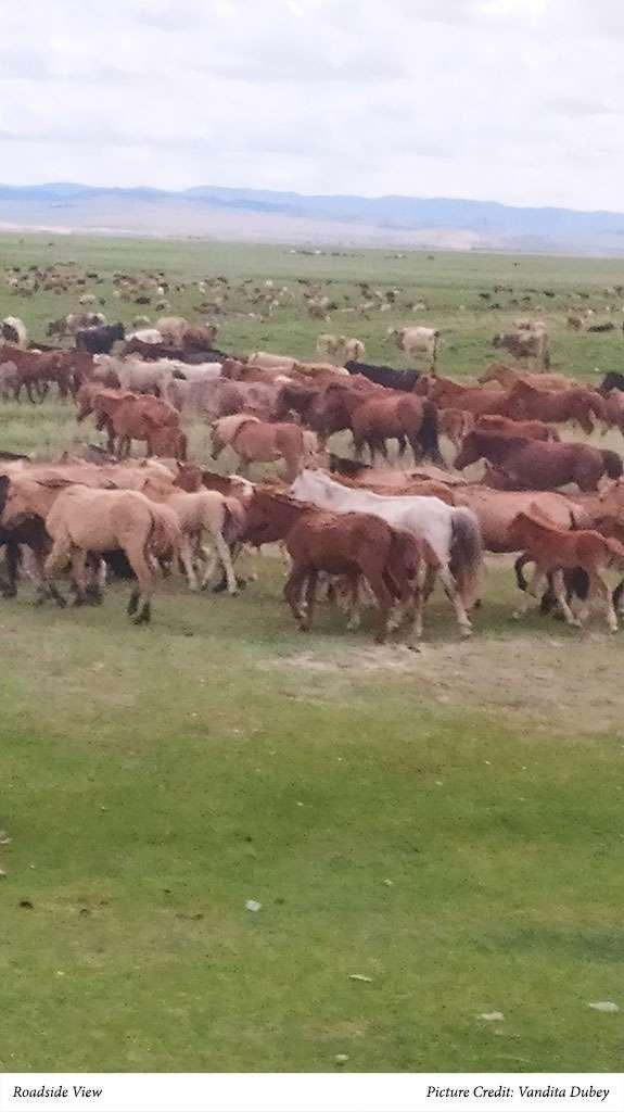 International Writers Retreat in Mongolia 21 Roadside View. Picture Credit: Vandita Dubey