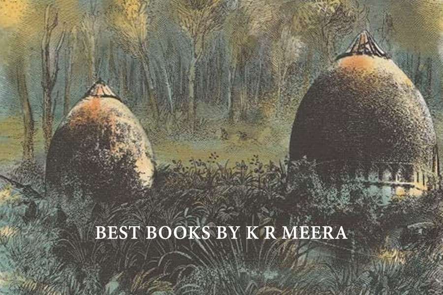 7 Best Books by K R Meera 2 satkhol